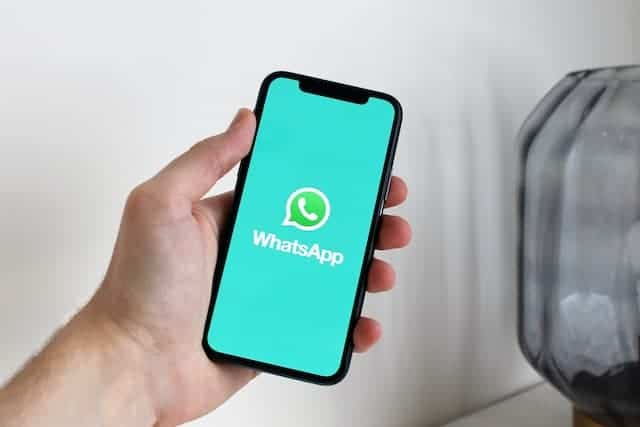 WhatsApp business WhatsApp business
