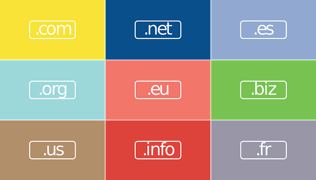 domain name urls