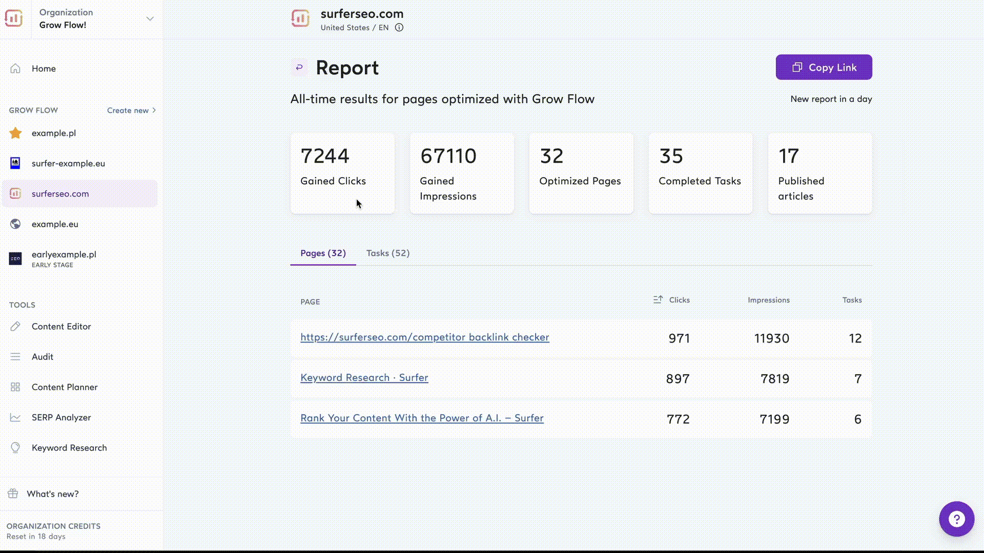 Snapshot of Surfer SEO’s report.