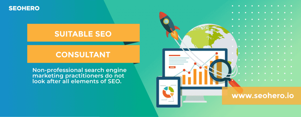 what is a suitable seo consultant